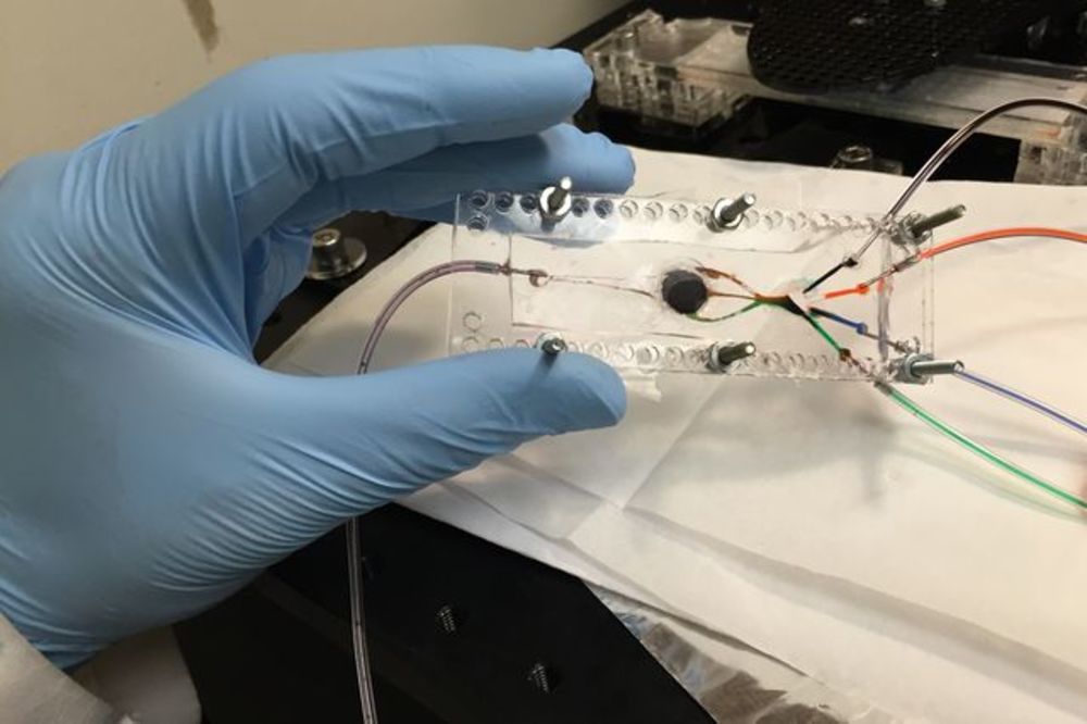 UCLA engineer develops multi-material 3D bioprinter for complex artificial tissues