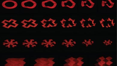 MIT soft robot designs