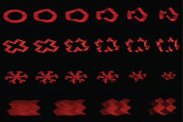 MIT soft robot designs