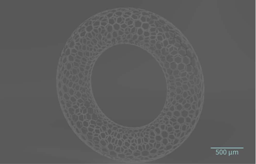 Vital3D offre servizi di bioprinting per lo sviluppo di farmaci come partner per la prototipazione rapida, la produzione lab-on-chip e scaffold tramite 2PP