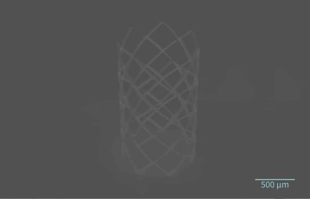 Vital3D offre servizi di bioprinting per lo sviluppo di farmaci come partner per la prototipazione rapida, la produzione lab-on-chip e scaffold tramite 2PP