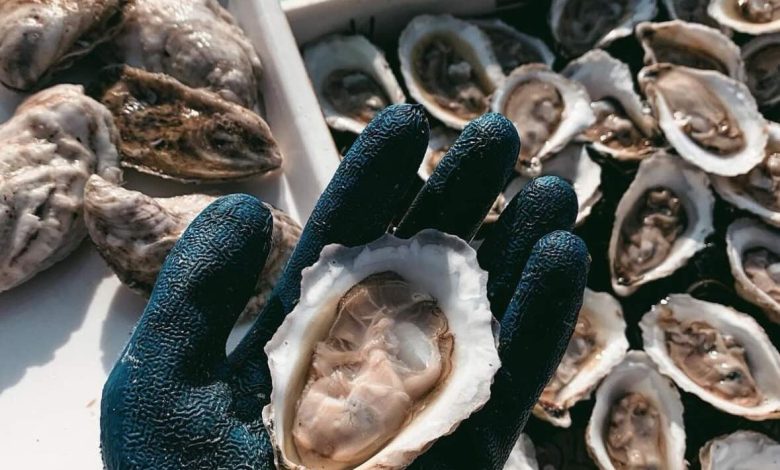 Merrymetting Shellfish Company 3D prints oyster pods - leveraging technology from the University of Maine to boost shellfish production.