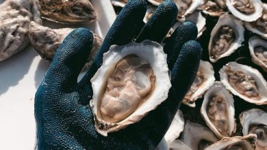 Merrymeeting Shellfish Company 3D prints oyster pods - leveraging technology from the University of Maine to boost shellfish production.