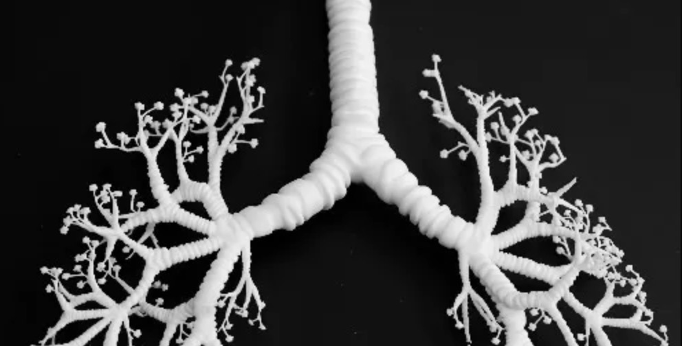Frontier Bio sviluppa un tessuto polmonare complesso in microscala con il bioprinting