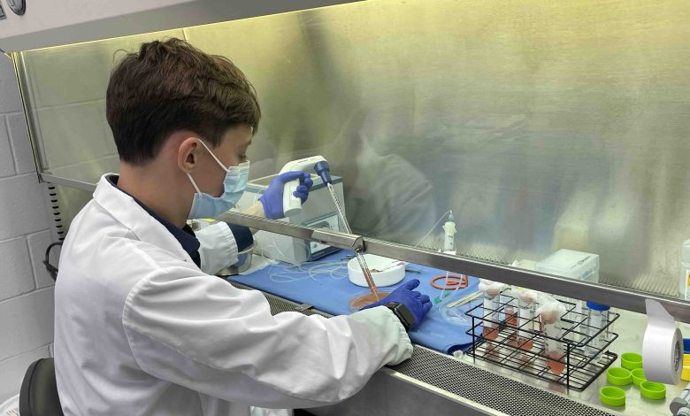 3D BioLabs demonstrates new approach for producing organs using 3D printing, computational fluid dynamics, and organ-specific cells.