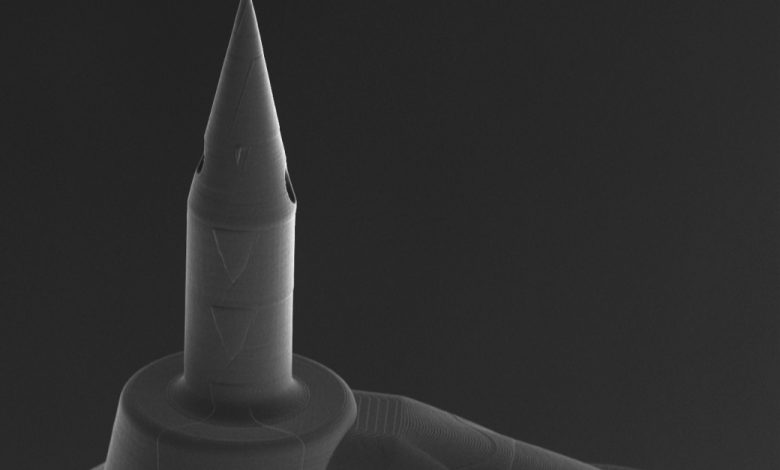 Columbia University researchers used 2PP 3D printing to produce microneedles to treat hearing loss in the cochlea without causing damage.