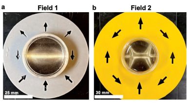 Oregon State University develops 3D prints that can crawl, fold, and snap - improving robotics, biomedical, and energy applications.