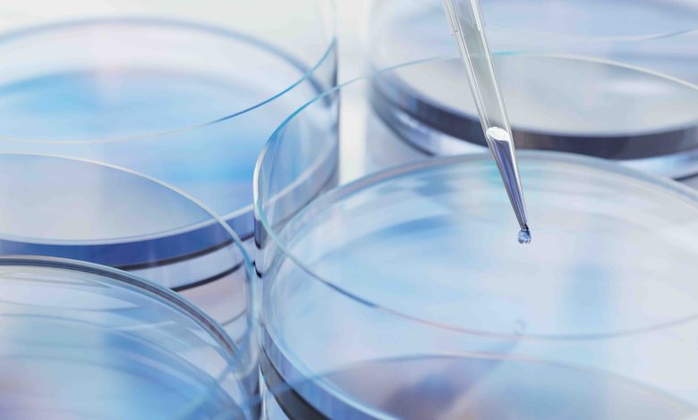 Optimizing gelatin hydrogels for volumetric 3D bioprinting. Insights from Rousselot’s Jos Olijve on the ENLIGHT bioprinting project.
