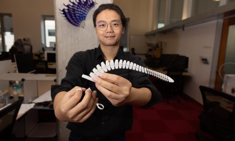 MIT CSAIL Xstrings