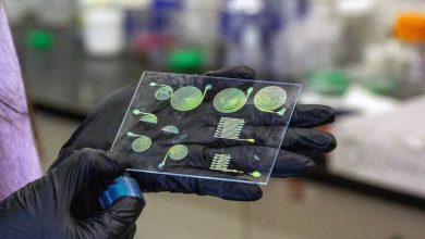 Penn State researchers 3D print color-changing, stress-responsive materials using cholesteric liquid crystal elastomers (CLCEs).