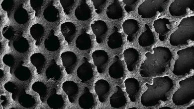 University of Sydney researchers 3D print bones at the nano level - enabling the precise control of grain size and porousity.