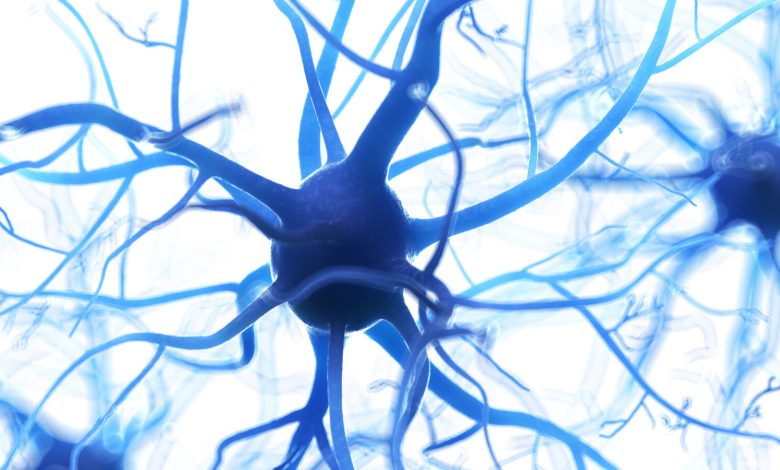 3D Systems, in partnership with TISSIUM, receives FDA approval for peripheral nerve repair treatment using biomorphic programmable polymers.