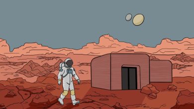 3D printing and synthetic lichens for Mars habitats