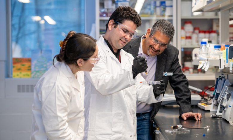 Tessella Biosciences, a McMaster University-backed start-up, has produced a bioink that can be used to 3D print simulated lung tissue.