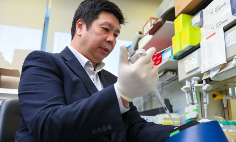 HKU scientists 3D print airways using organoids. A new machine and custom-grown tissues are reshaping the future of respiratory medicine.