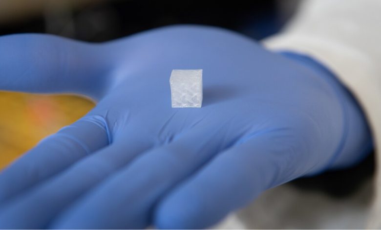 WFIRM to test 3D bioprinted liver tissue onboard the ISS to better understand vascularization in microgravity.