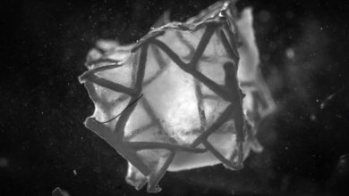 ETH Zurich researchers 3D print heart patch using a hydrogel populated with heart muscle cells. It has already been implanted in animals.