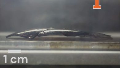 University of Illinois researchers 3D print flat carbon-fiber structures that morph into curved satellite components in space.