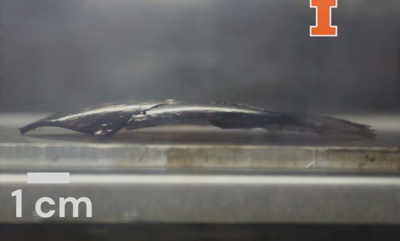University of Illinois researchers 3D print flat carbon-fiber structures that morph into curved satellite components in space.