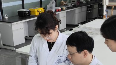 A team from Xiamen University has developed an approach that integrates in situ laser-induced solidification to advance thermoset fabrication.
