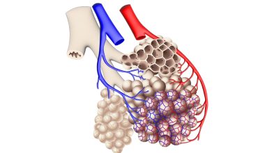 Duke University to use 3D bioprinting to study how different bacteria interact with the flu virus in human lung tissue.
