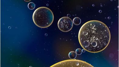 Scientists 3D print structures within cells - injecting a cell with a biocompatible light-sensitive material called a photoresist.