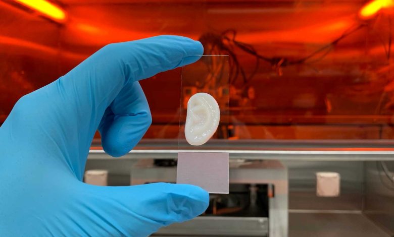 A team made up of researchers from ETH Zurich, the Friedrich Miescher Institute in Basel, and the Cantonal Hospital of Lucerne have produced elastic ear cartilage from human cells in a laboratory setting, which achieved mechanical properties comparable to natural tissue