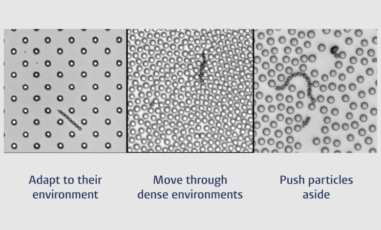 Leiden University researchers 3D print brainless microrobots that navigate like living organisms