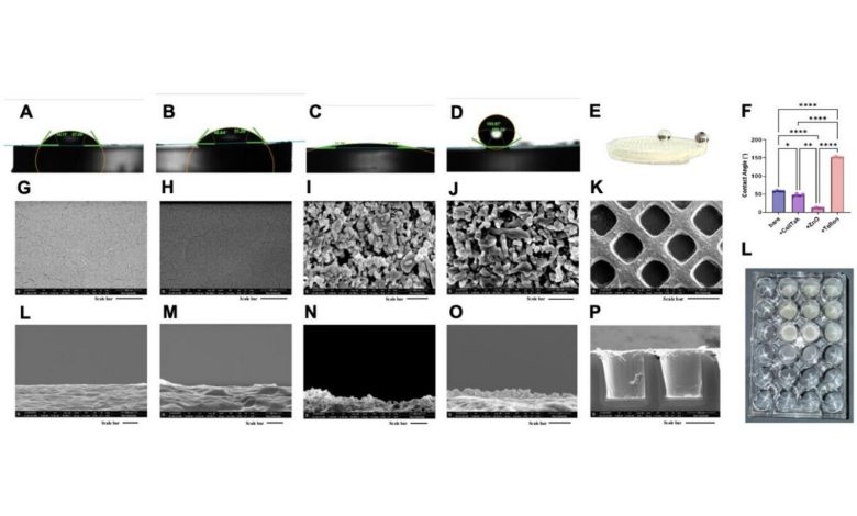 Rice University uses 3D printing to model metastatic cancer cell clusters
