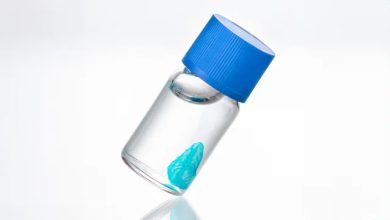 Rousselot enables new bioprinting possibilities through ENLIGHT project