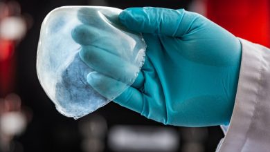 Fraunhofer IAP and NMI develop 3D printed biomimetic tissue substitute for medical implant applications
