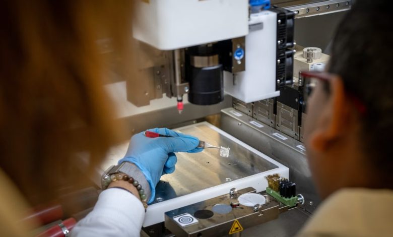 Georgetown researcher develops natural 3D printed bone grafts