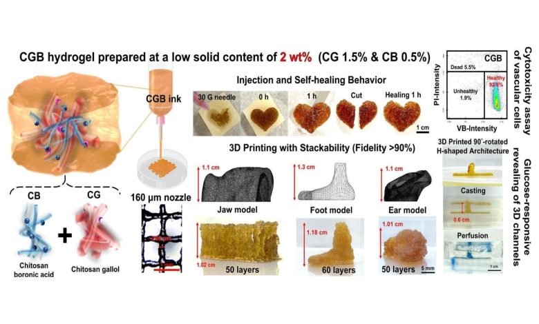NTU researchers develop glucose-responsive hydrogel for 3D bioprinting