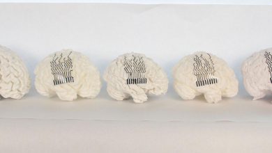 Penn State researchers develop 3D printed bioelectrodes tailored to individual brain geometry