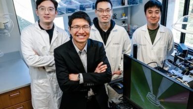 Professor Yong Lin Kong (front row) with co-authors Xin Yang, Jian Teng and Yu Liu (back row, from left to right).