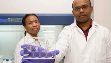 University of Mississippi researchers use FRESH 3D printing to deliver chemotherapy drugs directly to tumor sites