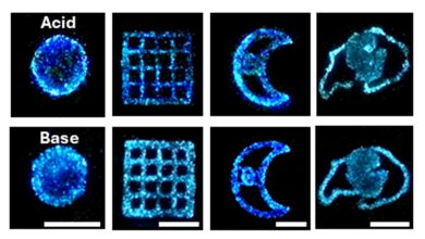 University of Colorado researchers use 3D bioprinting to build reusable, light-emitting living materials