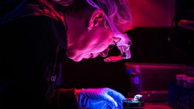 Colossal Biosciences hatches 26 chicks in 3D printed artificial egg system