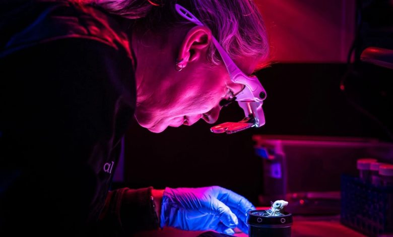 Colossal Biosciences hatches 26 chicks in 3D printed artificial egg system