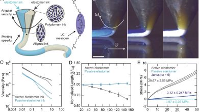 Harvard researchers print artificial muscle-like filaments that bend and twist on demand
