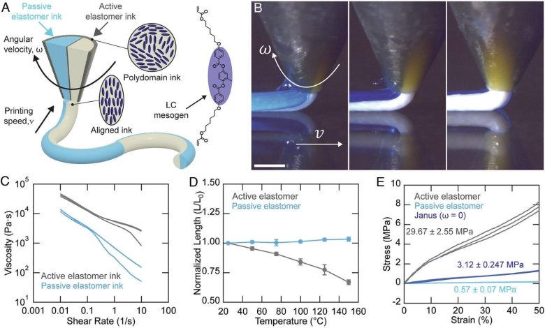 Harvard researchers print artificial muscle-like filaments that bend and twist on demand