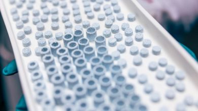 Tampere University researchers develop ceramic 3D printed scaffolds that replicate bone structure
