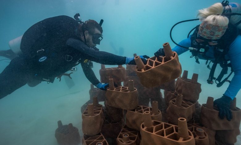Maldives resort installs 3D printed clay reef structures