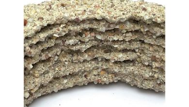 University of Stuttgart researchers 3D print bio-concrete structures using bacteria and compacted sand