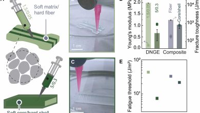 EPFL researchers build fracture and fatigue resistant 3D printed elastomer