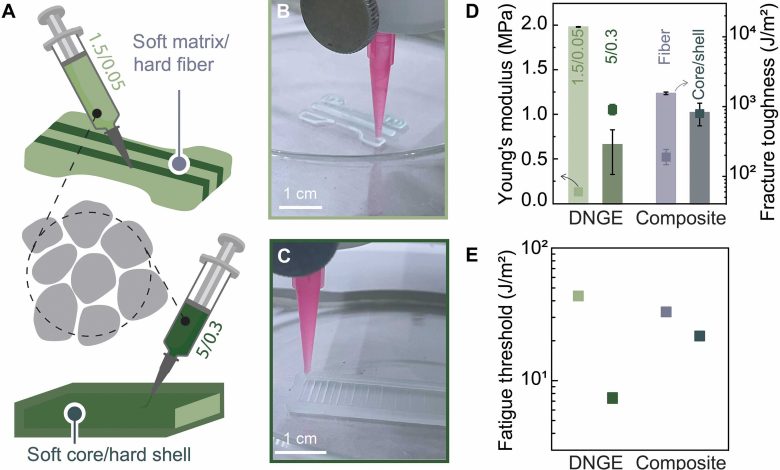 EPFL researchers build fracture and fatigue resistant 3D printed elastomer