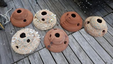 USACE turns dredged Mobile Bay sediment into 3D printed oyster reefs