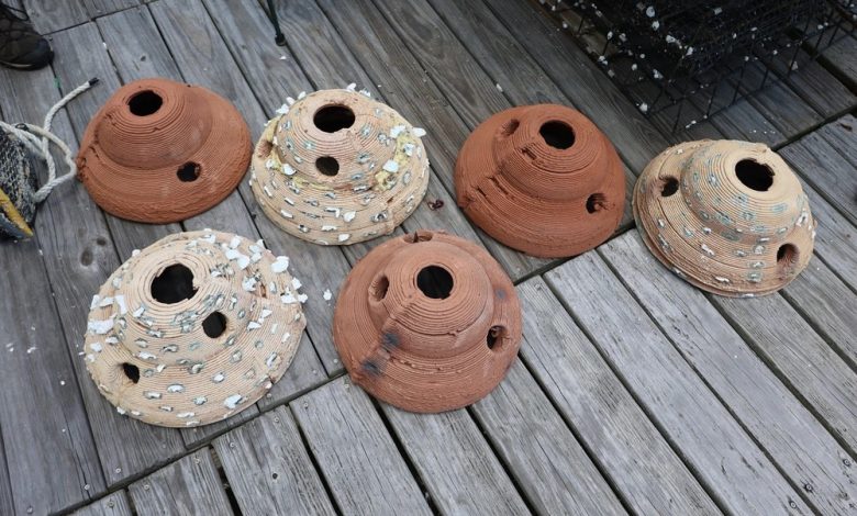 USACE turns dredged Mobile Bay sediment into 3D printed oyster reefs