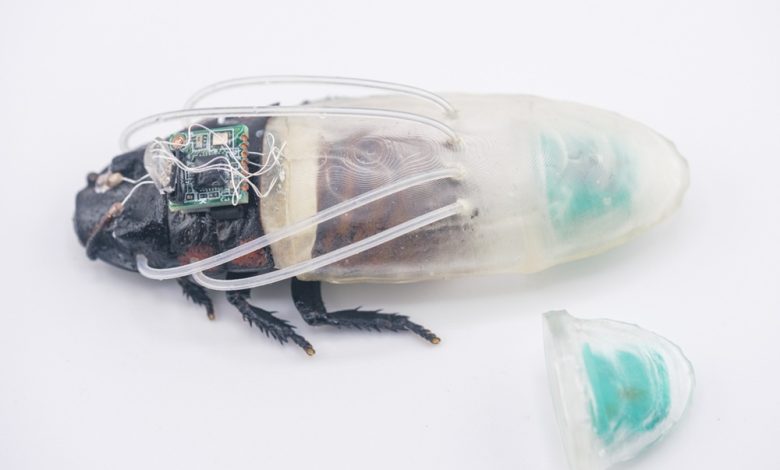 Cyborg cockroaches fitted with 3D printed underwater suits