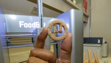 NASA-backed research makes 3D printed food out of plastic waste